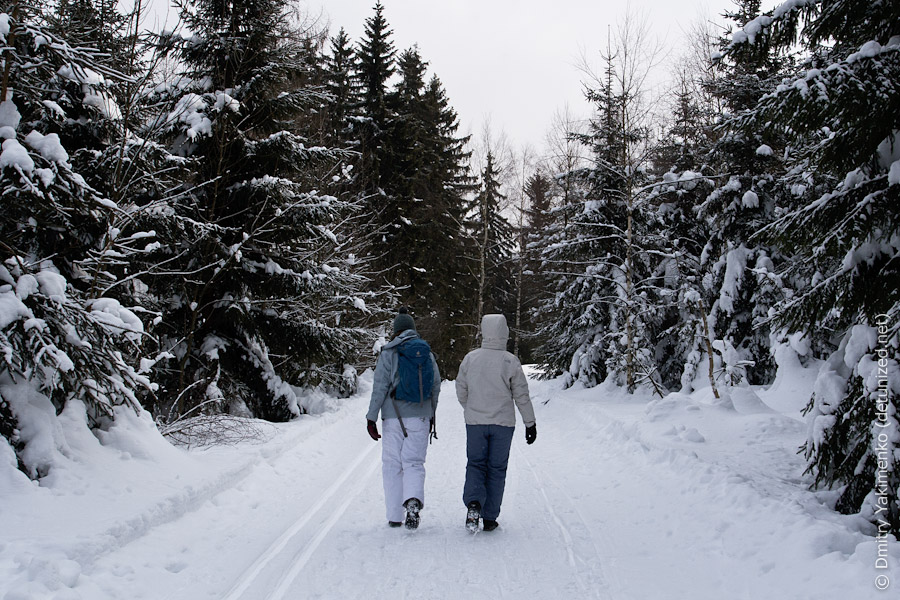 Harrachov, January 2012, photo 9 of 18